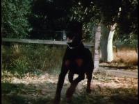 Click to watch 'Hounds of Hell' (popup) Cannon